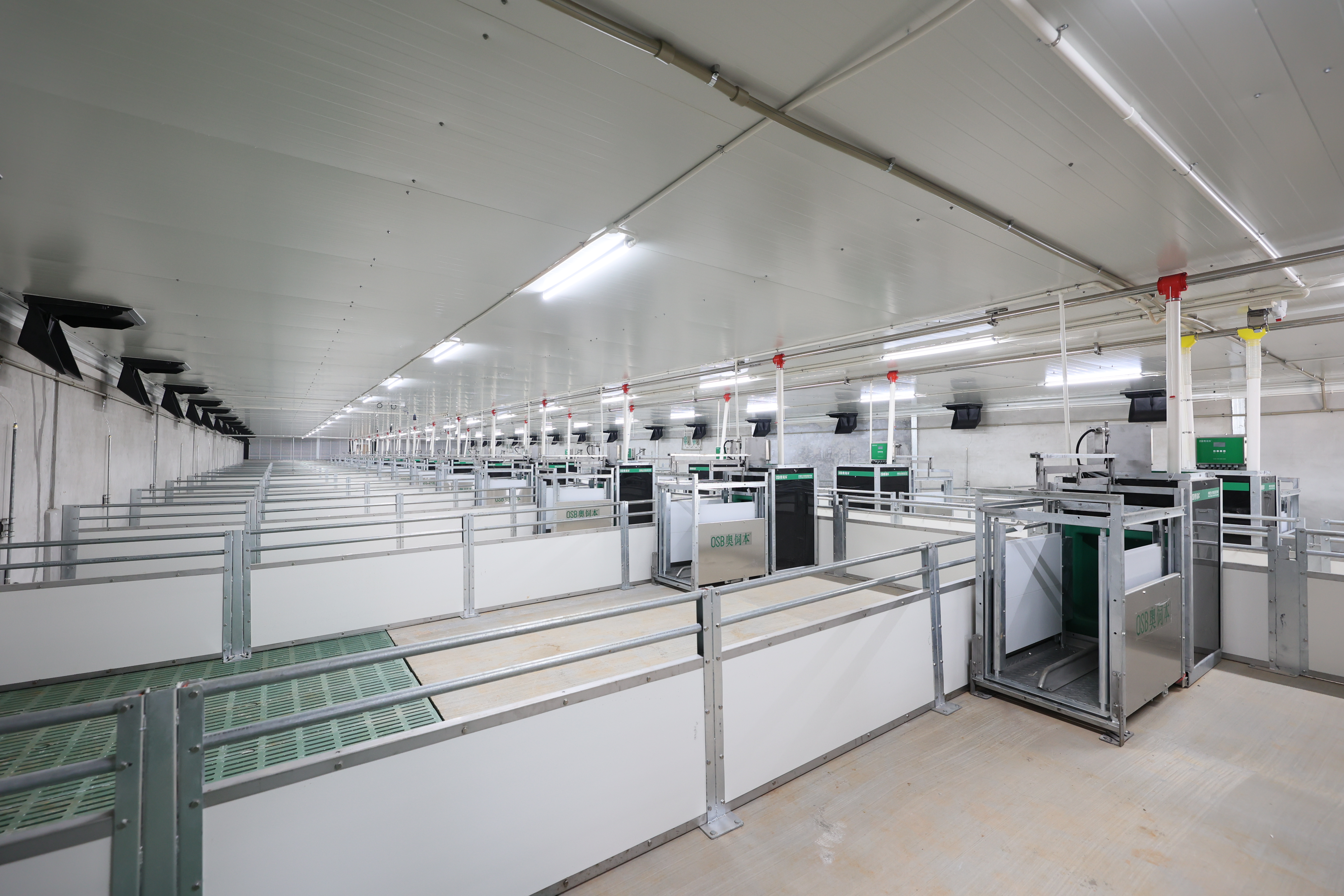 種豬測(cè)定舍